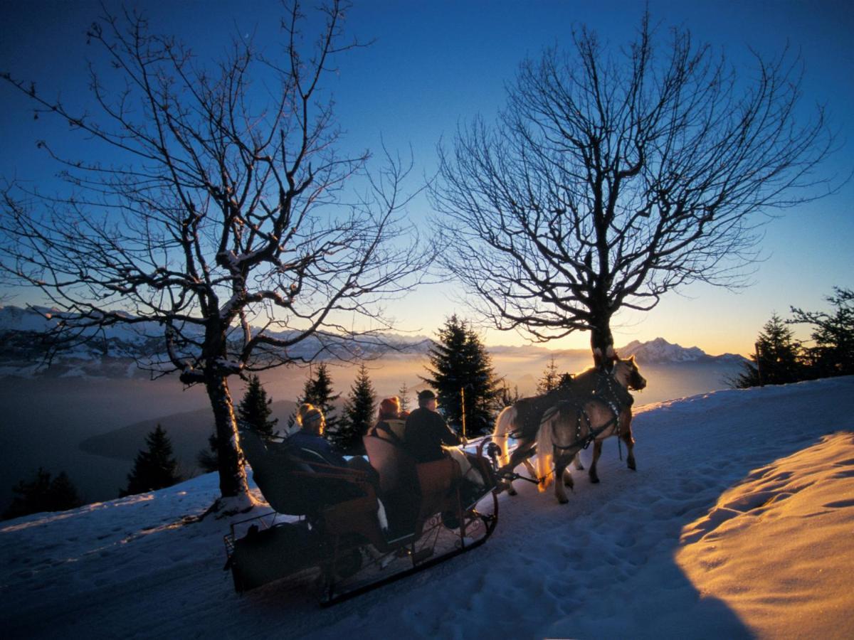 Chalet Bergli Rigi Kaltbad Exteriör bild